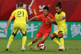 杨晨提到
