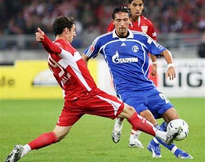 新与进步 新与进步